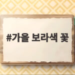가을 보라색 꽃 10가지 종류와 꽃말 그리고 10월 여행 명소 알아보기 가을 보라색 꽃
