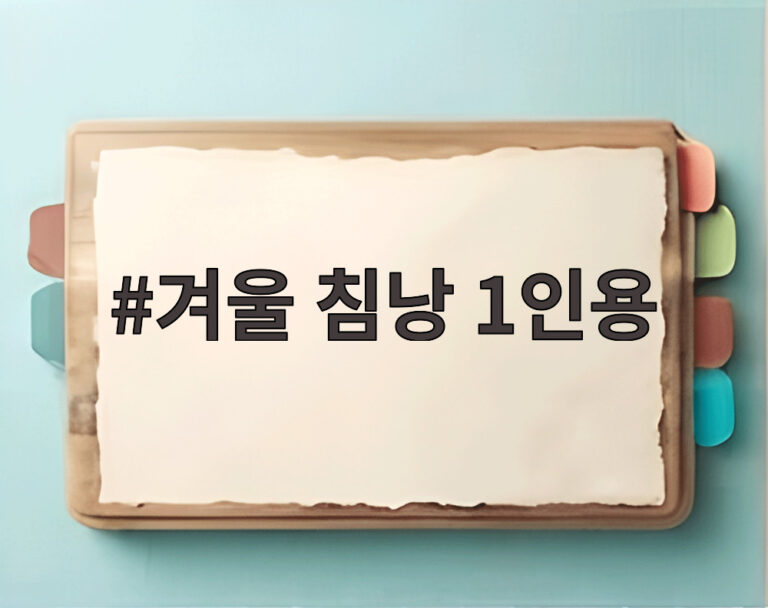 겨울 침낭 1인용