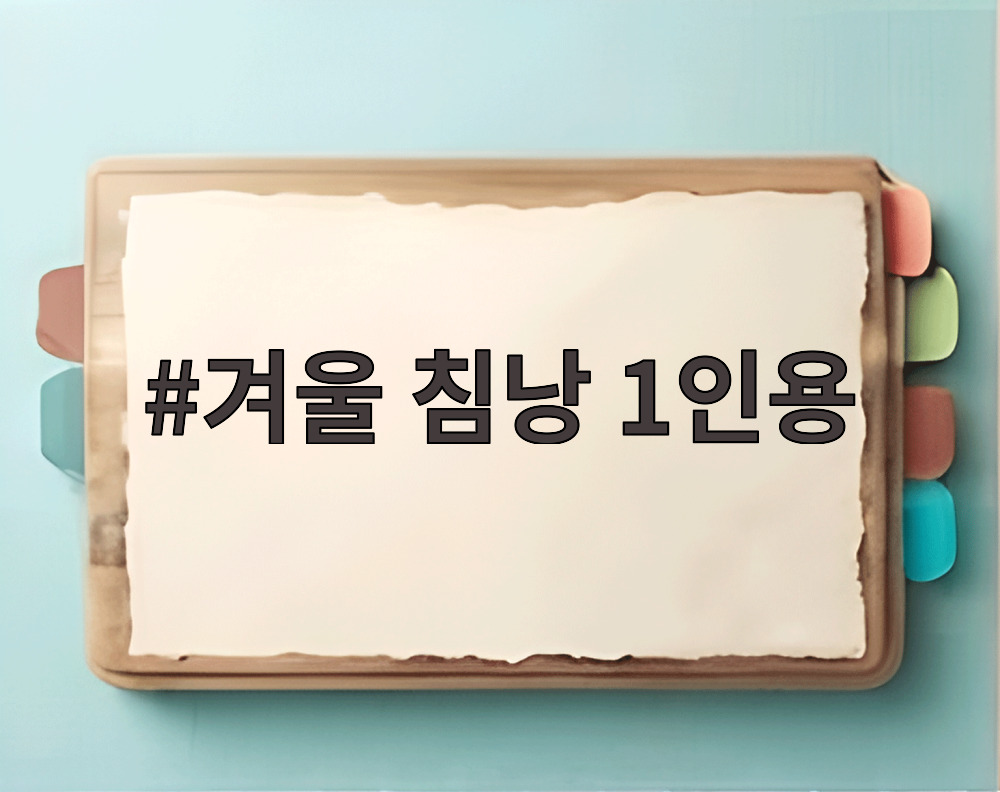 겨울 침낭 1인용
