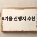 가을 산행지 추천 10월에 꼭 가봐야 할 억새 명산 다섯 곳 가을 산행지 추천