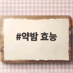 약밤 효능