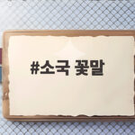 소국 꽃말