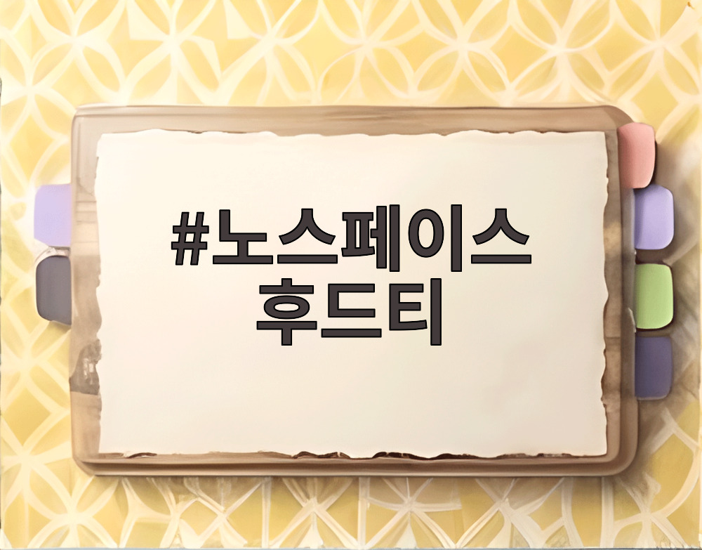 노스페이스 후드티