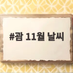 괌 11월 날씨
