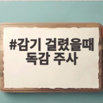 감기 걸렸을때 독감 주사