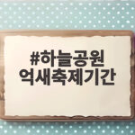 하늘공원 억새축제기간 2026 서울억새축제 일정과 관람 팁 하늘공원 억새축제기간