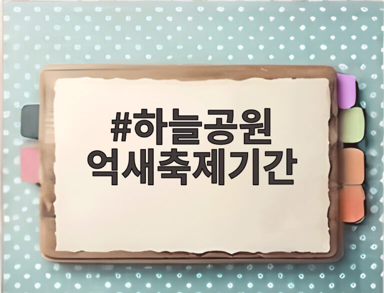 하늘공원 억새축제기간