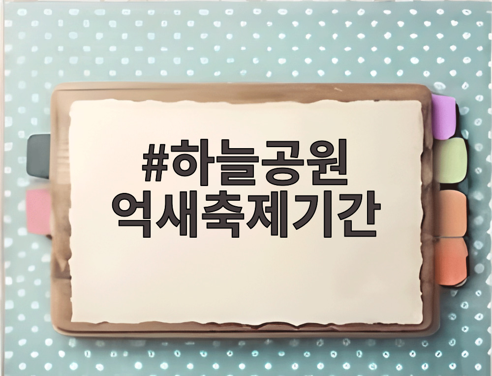 하늘공원 억새축제기간