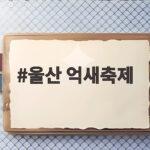 울산 억새축제