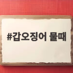 갑오징어 물때 언제가 좋을까 초보도 만선 가능한 시간대 갑오징어 물때