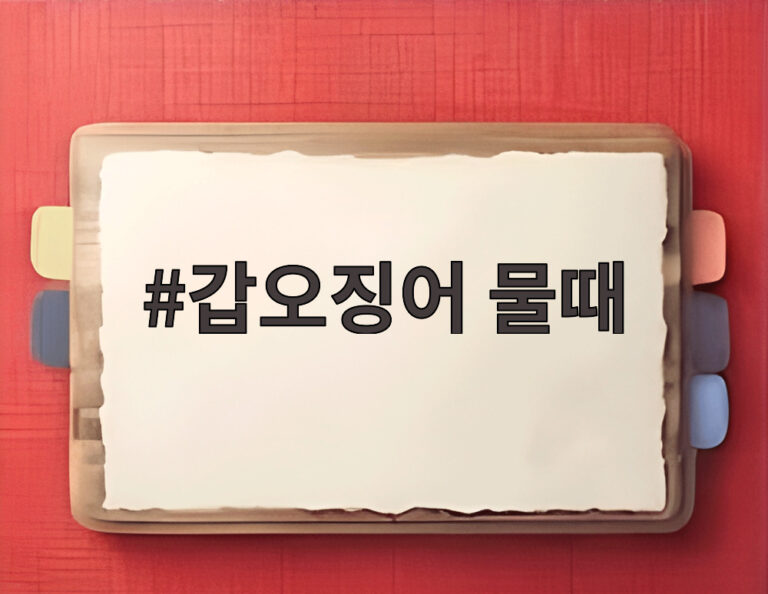 갑오징어 물때