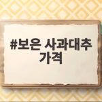 보은 사과대추 가격