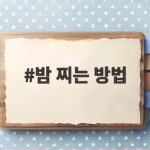 밤 찌는 방법 껍질이 쏙 빠지는 시간과 불 조절 비법까지 밤 찌는 방법
