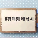 평택항 배낚시