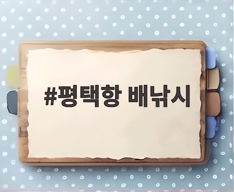 평택항 배낚시