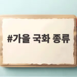 가을 국화 종류 이렇게 많다니 소국부터 폼폰국화까지 한눈에 정리 가을 국화 종류
