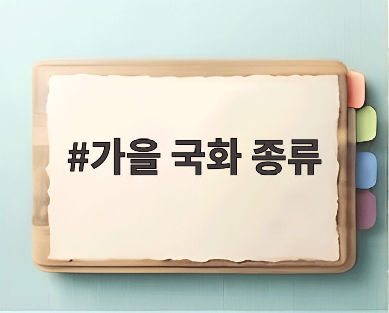 가을 국화 종류
