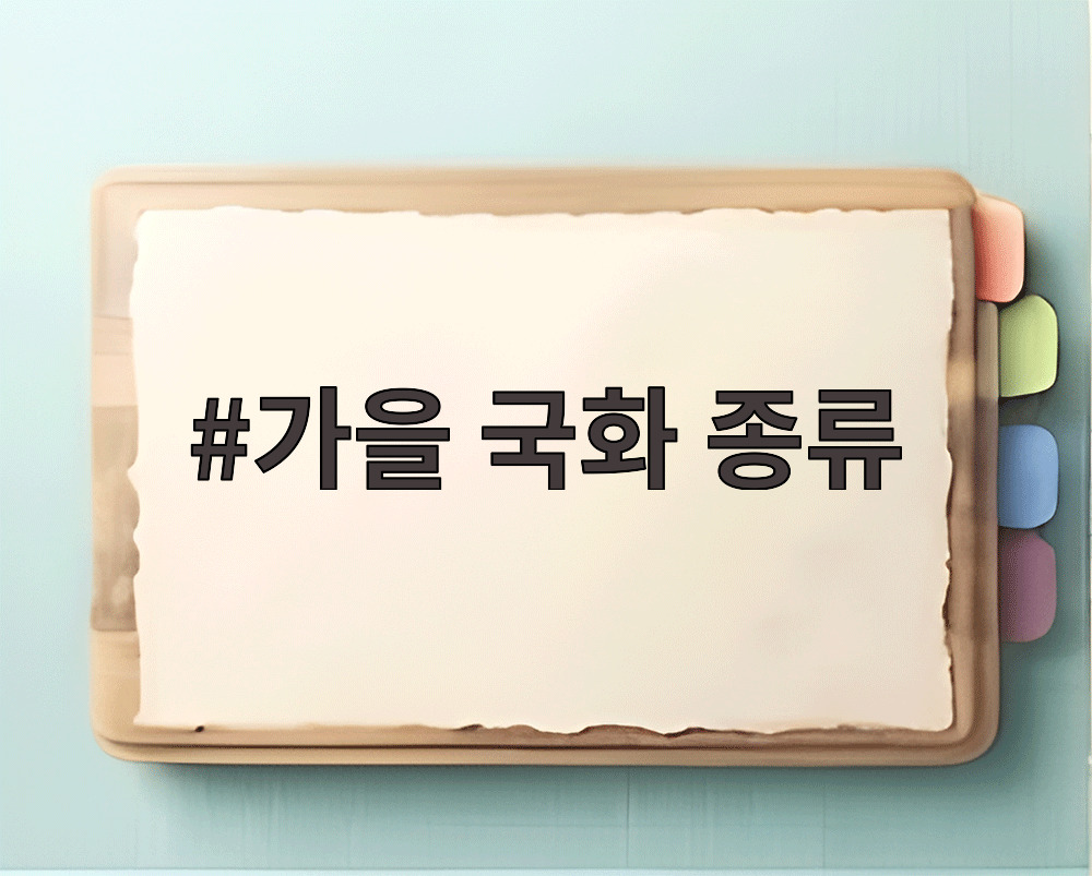 가을 국화 종류