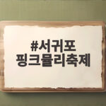 서귀포 핑크뮬리축제 10월 절정 시기와 관람 팁 서귀포 핑크뮬리축제