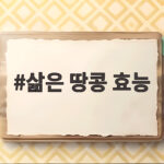 삶은 땅콩 효능 제대로 알고 먹는 방법 칼로리와 보관까지 확인하세요 삶은 땅콩 효능