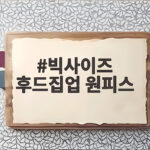 빅사이즈 후드집업 원피스로 편안한 하루를 완성하는 법 빅사이즈 후드집업 원피스