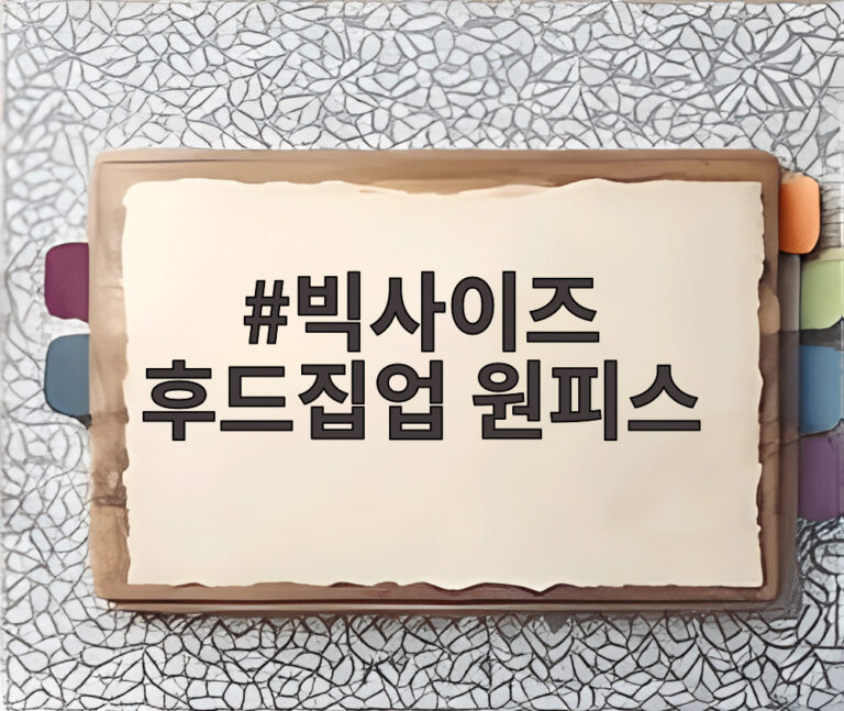 빅사이즈 후드집업 원피스