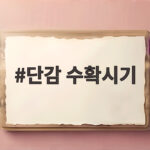 단감 수확시기 품종별로 언제가 좋을까 아삭하게 보관하는 법까지 단감 수확시기