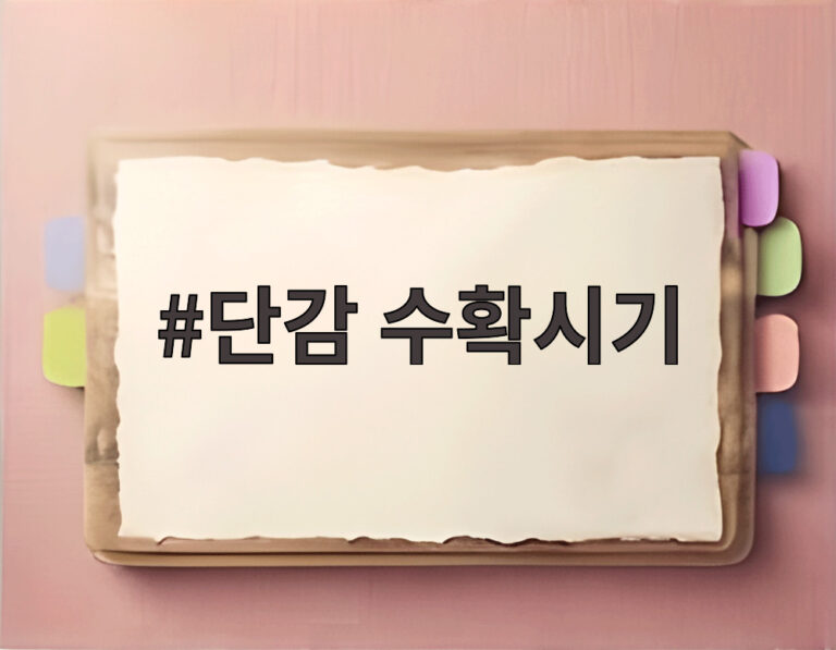 단감 수확시기