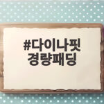 다이나핏 경량패딩 가격과 고르는 방법을 한눈에 확인하세요 다이나핏 경량패딩