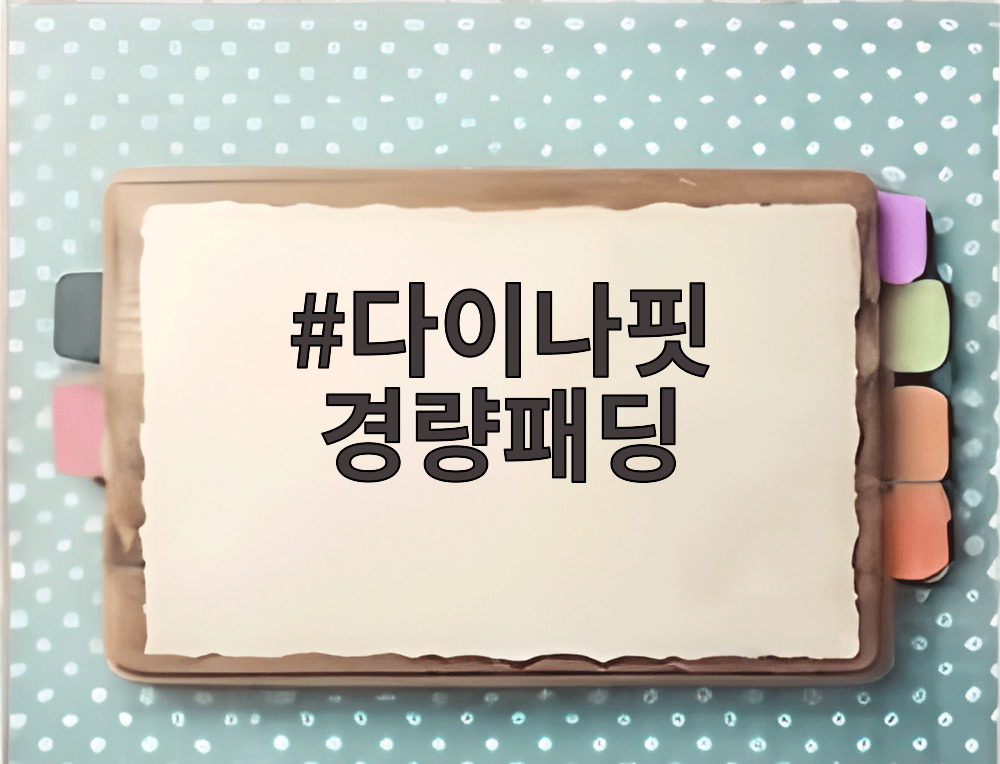 다이나핏 경량패딩