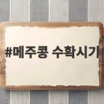 메주콩 수확시기