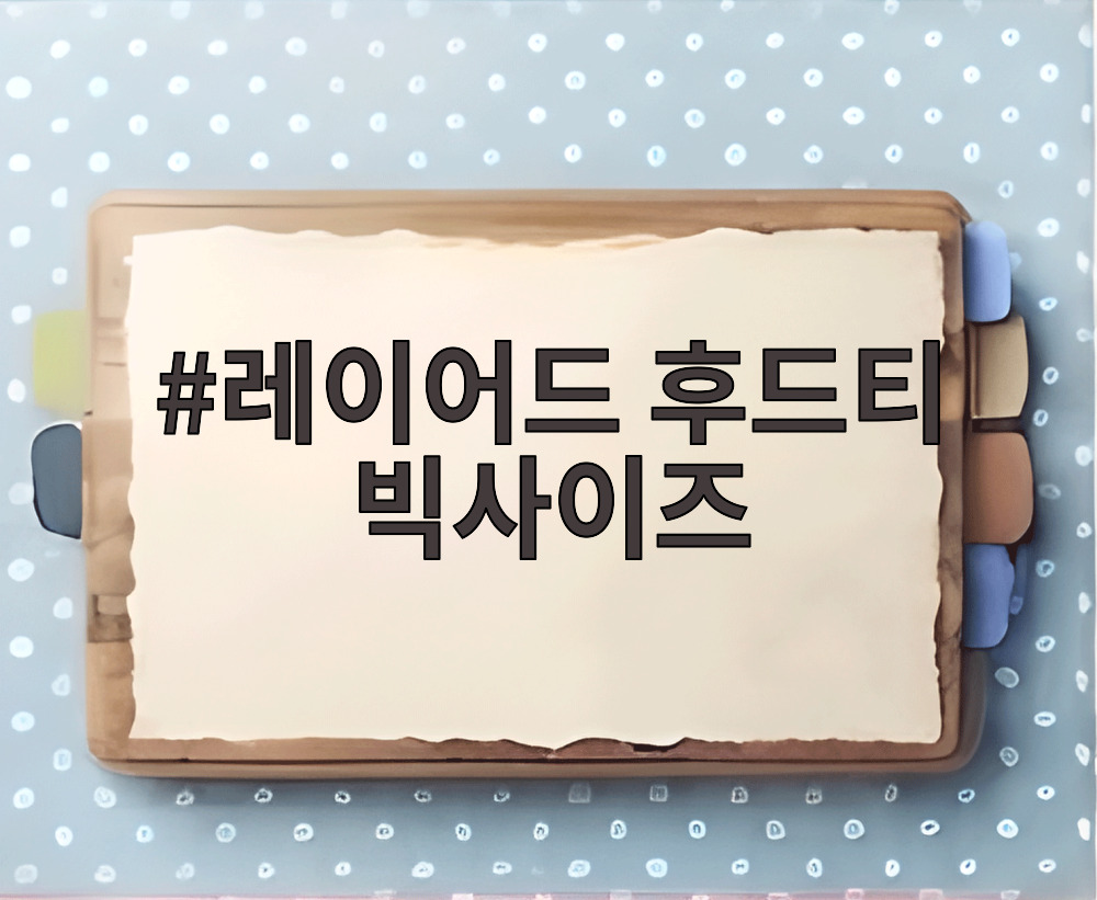 레이어드 후드티 빅사이즈