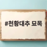 천황대추 묘목