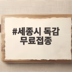 세종시 독감 무료접종