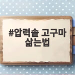 압력솥 고구마 삶는법 시간 조절만 잘하면 촉촉한 찐고구마 완성 압력솥 고구마 삶는법