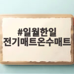 일월한일 전기매트온수매트