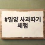 밀양 사과따기 체험 이번 가을 아이와 꼭 가봐야 할 이유 밀양 사과따기 체험
