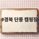 경북 단풍 캠핑장