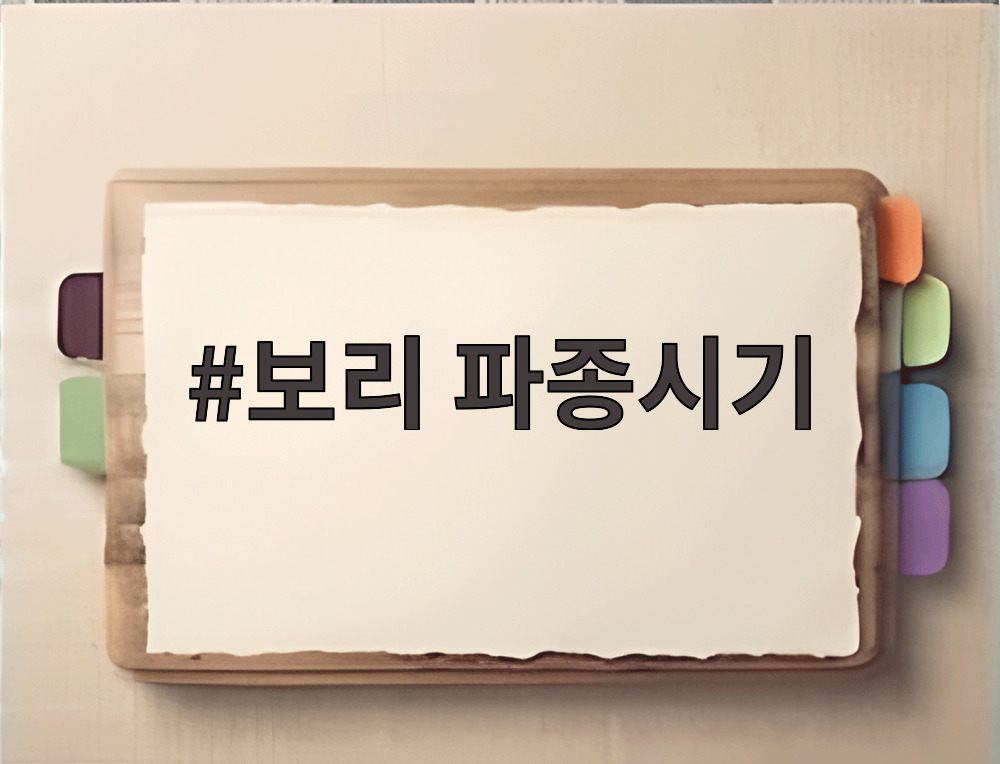보리 파종시기