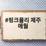 핑크뮬리 제주 애월