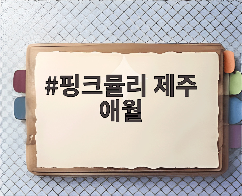 핑크뮬리 제주 애월