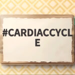 CARDIACCYCLE