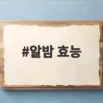 알밤 효능