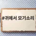 귀에서 모기소리가 들리는 이유와 밤에 거슬리는 대처법 귀에서 모기소리