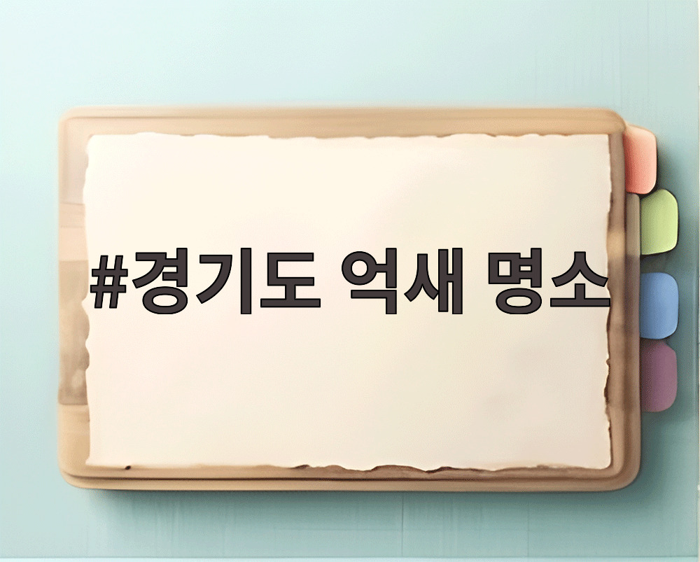 경기도 억새 명소