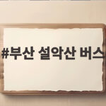 부산 설악산 버스 타고 가을 산행 떠나는 완벽한 방법 부산 설악산 버스