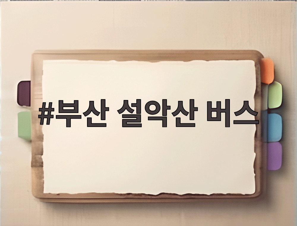 부산 설악산 버스