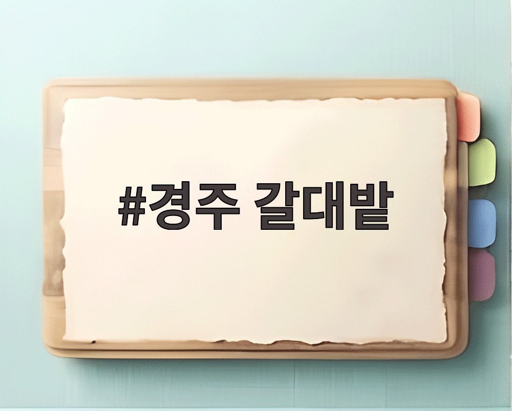 경주 갈대밭