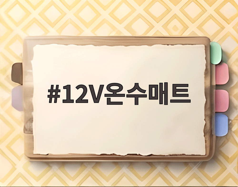 12V온수매트