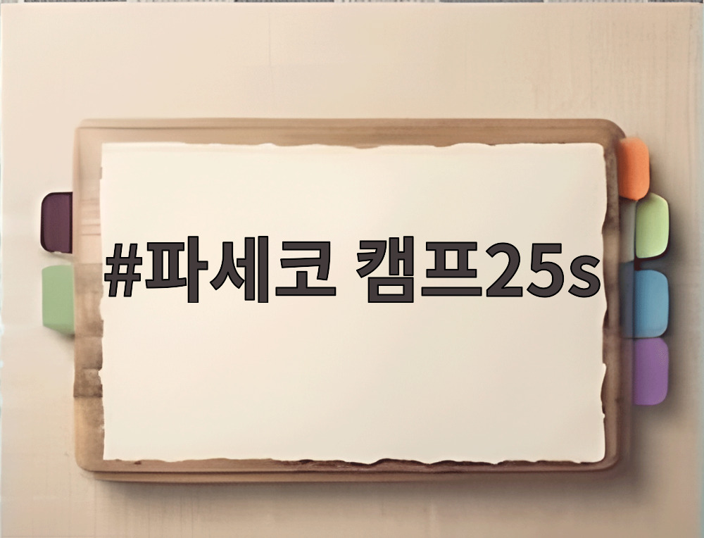파세코 캠프25s
